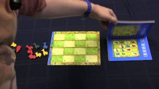 AnimaLogic Review - with the Vasel Girls