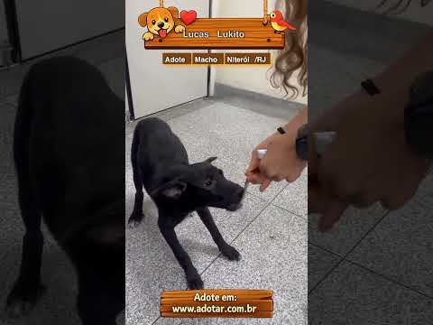 Vídeo de Lucas Lukito