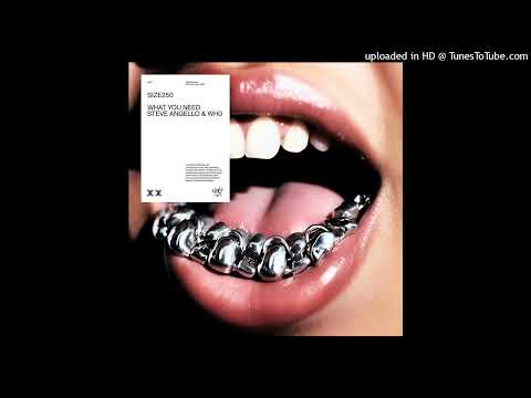 Steve Angello & Wh0 - What You Need (Extended Mix)