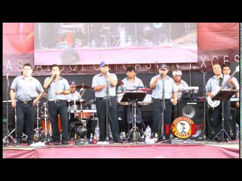 ELLA ES MI GLORIA - AGUA MARINA 2014