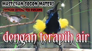Download lagu MASTERAN SOGON MATERI,PRENJAK TIR PANJANG dengan terapih suara air mp3 Download lagu MASTERAN SOGON MATERI,PRENJAK TIR PANJANG dengan terapih suara air mp3