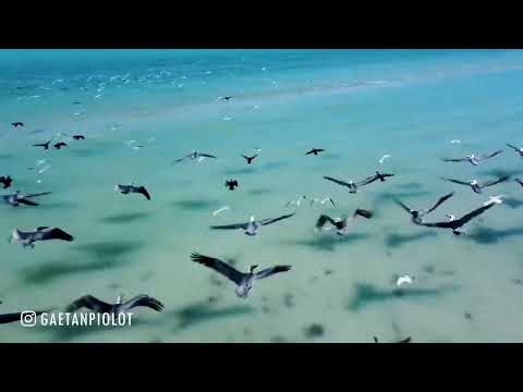 Gorkem Han Jr. - Ocean (Mieke Remix)