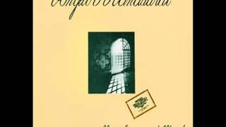 Angelo Branduardi - L'Uomo E La Nuvola (1976)