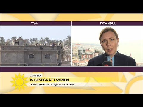IS besegrat i Syrien – "Kommer skrivas in i historieböckerna att kalifatet bes… - Nyhetsmorgon (TV4)