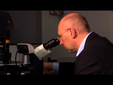 Stefan Hell - STED microscope