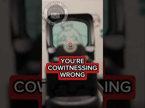 Understanding the Co-witness