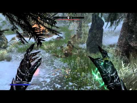 Skyrim: Master Alteration Mage