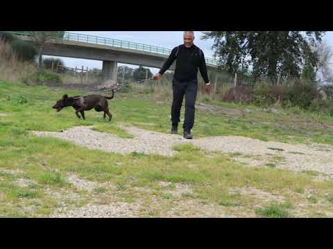Vídeo de LINDINHA
