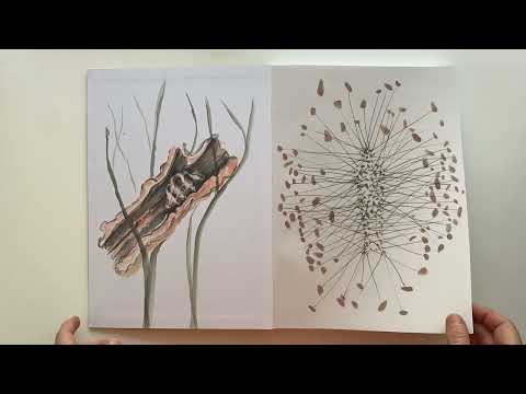 River of Forms: Giuseppe Penone's Drawings by Carlos Basualdo