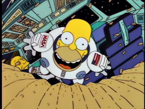 The Simpsons Season 5 Retrospective
