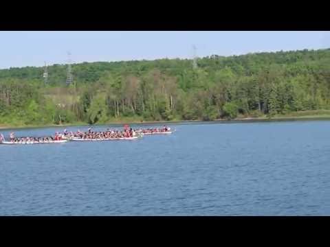 York University Dragon Boat Club - Milton 2016 Community 500m Heat