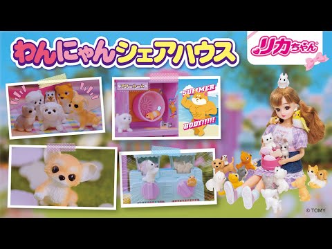 【リカちゃん】みんななかよし💗🐶わんにゃんシェアハウス😻