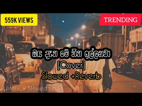 Kandulu Watunu Neth pitu athare Cover  (ඔය දෑත මේ හිත ඉල්ලනවා)  Slowed And Reverb