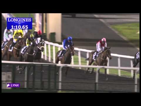 14.02.2013 Meydan (Dubai-UAE) 5.Race Al Shindagha Sprint 2013 - Group III 1.200 m