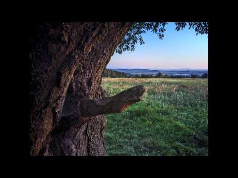 DOOGEE V20 PRO - Sample photos