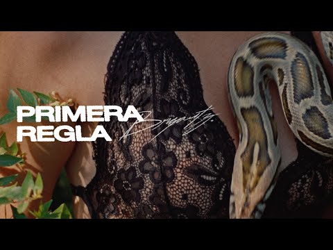 Bryartz - Primera Regla | NAGA