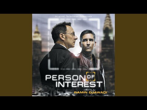 Person Of Interest