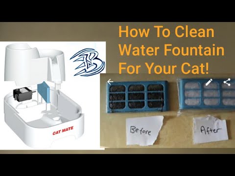 Cat Mate Filter an cleaning. [FULL GUIDE]