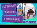 What Is Emergency Contraception? (The Morning After Pill)