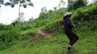 Download lagu Survive in the forest misunderstood the girl who had a lover mp3