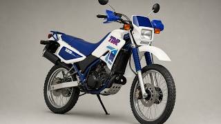 Yamaha TDR 125 usata: pregi, difetti e vita quotidiana