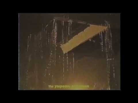 SCHIZOGOTH - funeralofmyfeelings (LYRIC VIDEO)