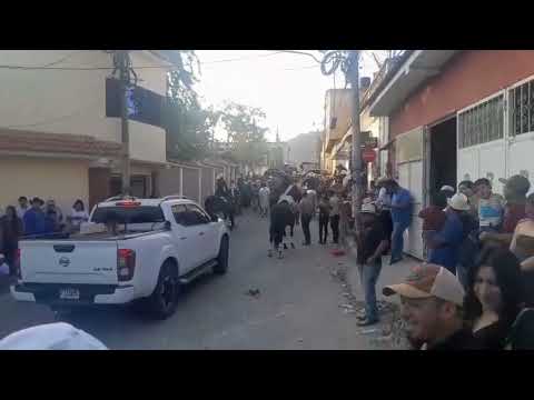 Segunda parte del desfile de caballos en Casillas Santa Rosa.