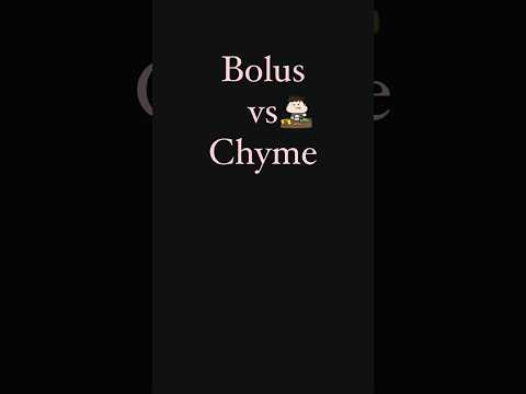Bolus vs Chyme | The Food We Eat | Microlearning | Differentiate Between #digestion #thehumanbody