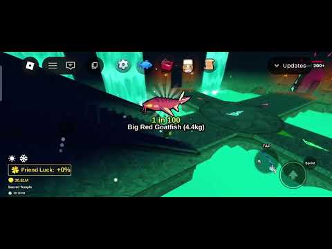 tamat juga guys bantu support dong biar bisa live