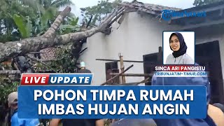 Bondowoso Dihantam Hujan Deras dan Angin Kencang, Pohon Tumbang Timpa Rumah Warga & Kabel Listrik