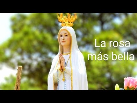 La rosa más bella, Jaime Chacua