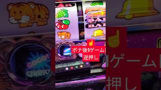 【深夜の大#発狂 】#マイジャグラーv でボナ後1ゲーム目#ペカリ ！逆押しレギュラー濃厚目だが🤔#ジャグラー #パチスロ #独身中年 。　