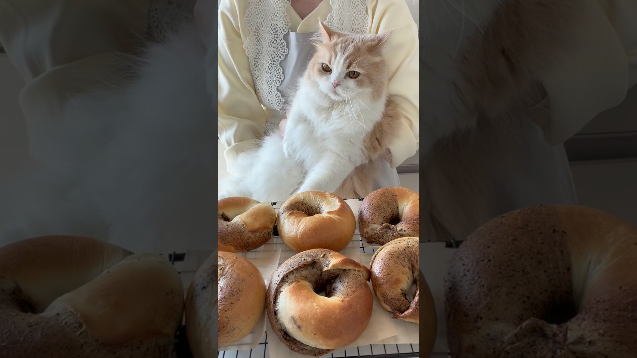 練乳ミルクコーヒーベーグルを作ろう🥯☕️