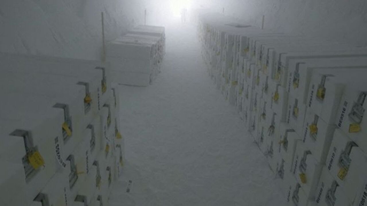 Antartide, ecco l'archivio dei ghiacci "Ice Memory"