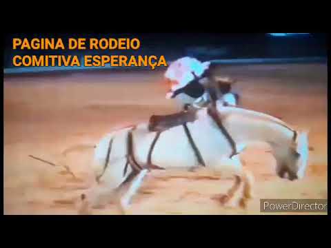 JAIR HONORIO DE OLIVEIRA &CAVALO HOLLYWOOD CIA MARCA ESTRELA .