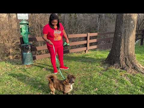 LaRhonda's Morning Routine