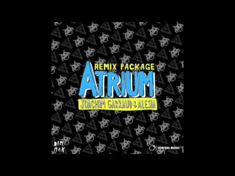 Joachim Garraud & Alesia - Atrium (Designer Drugs Remix)