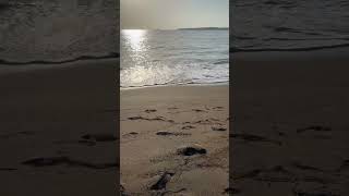 Good Morning From Blue Bay Villas Doradas Beach in Puerto Plata 🏝️ #dominicanrepublic #beachday