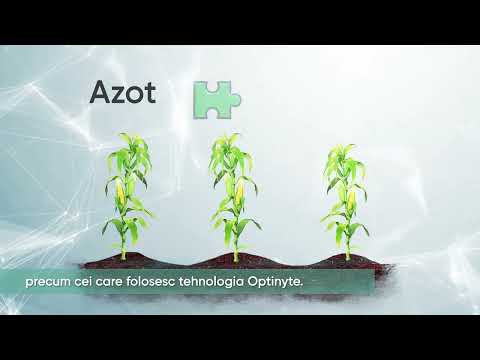 Utrisha N - Potrivire excelentă în programele de gestionare a azotului