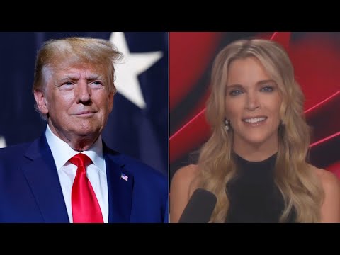 'Holds a grudge': Megyn Kelly opens up on Donald Trump interview