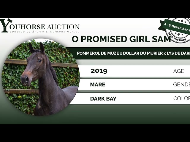O Promised Girl Sam under the saddle