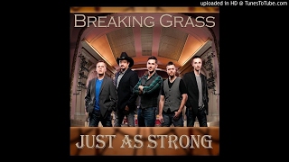 Breaking Grass - Fly