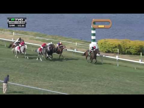 RACE REPLAY: 2017 Honey Fox Stakes Featuring Celestine