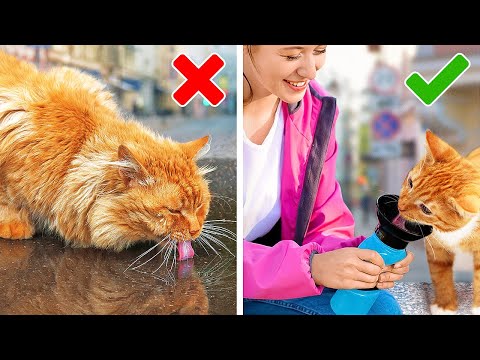 Smart PET OWNER 😍🐶 Genius Gadgets and DIYs For Cool PET LOVERS