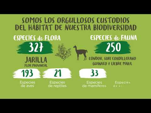 Reserva Natural Villavicencio video thumbnail