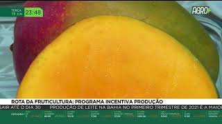 Miniatura do vídeo