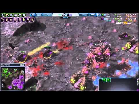 Hyvaa's Crazy fungals - GSTL