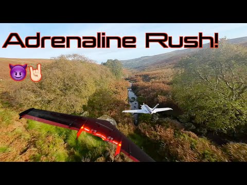 ☄️ FASTER & LOWER - FPV Wing Formation [All DVR] Zcon & Dolphin