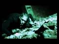 ГЕВАЛ - Judas (Иуда) 