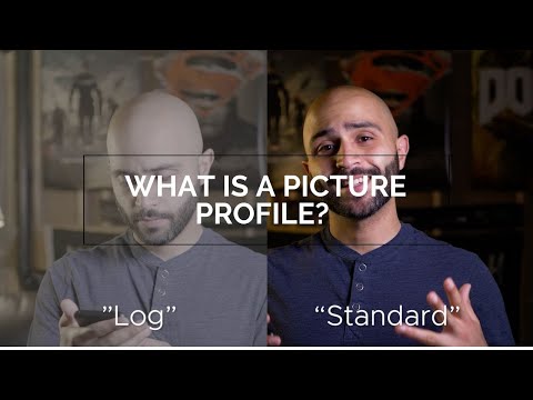 What Are Picture Profiles? | Explained | Origin Films